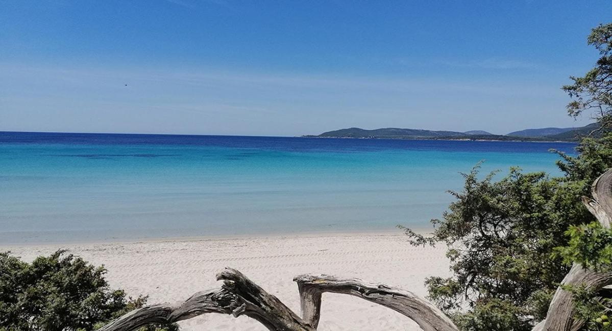 Appartamento Il Grecale Alghero Esterno foto